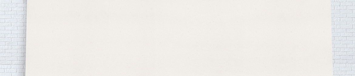 4600 Organic White Caesarstone zoom